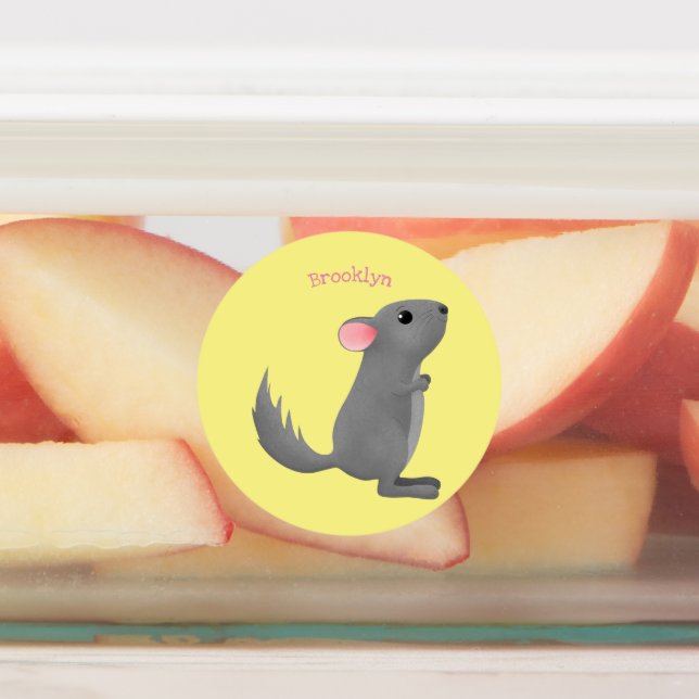 Cute grey chinchilla cartoon illustration (Affixed)