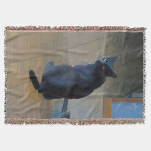 Cute Grey Farm Cat in Ranch Kitchen Throw Blanket