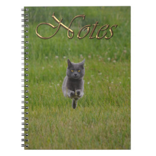 Cute Grey Farm Cat Racing Across Green Grass Photo Spiral Notebook