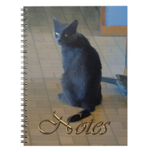 Cute Grey Farm Sitting in Ranch Kitchen Spiral Notebook