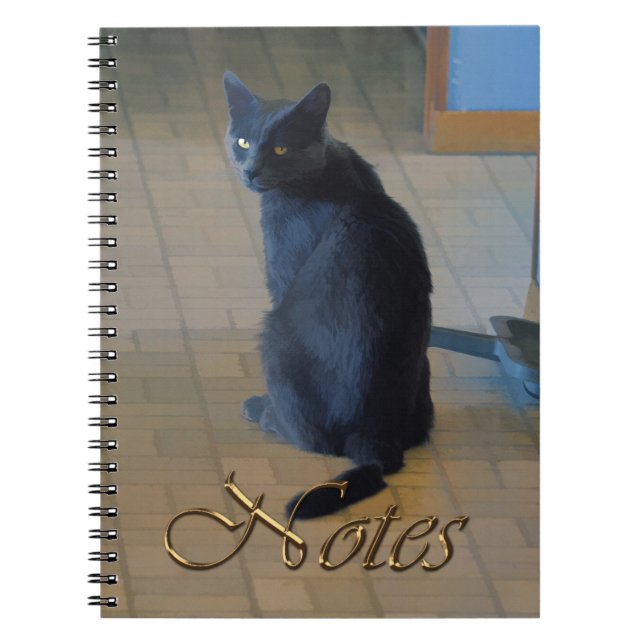Cute Grey Farm Sitting in Ranch Kitchen Spiral Notebook (Front)