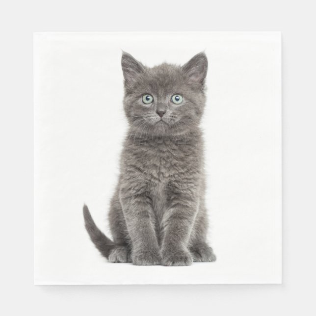 Cute Grey Kitten Grey Kitty Cat Party Napkin (Front)