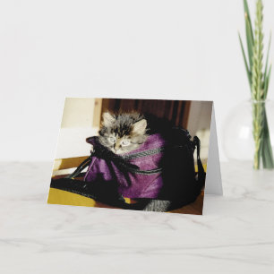 Cute Grey Kitten In Purse Thinking Of You Custom Card