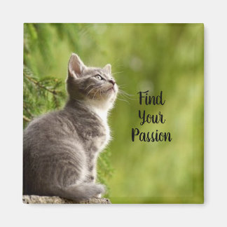 Cute Grey Kitten Magnet