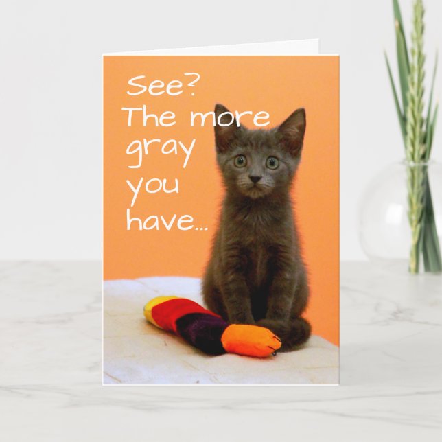 Cute Grey Kitten on Orange Background Card (Front)