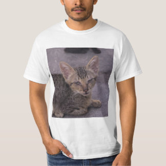 Cute Grey Kitten T-Shirt