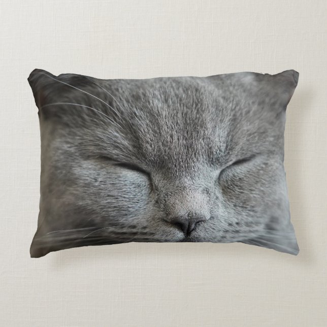 Cute Grey Kitty Cat Photo Accent Pillow (Front)