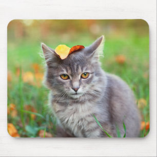 Cute Grey Kitty with Leaf on Head Mouse Pad