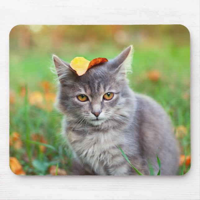 Cute Grey Kitty with Leaf on Head Mouse Pad (Front)
