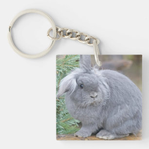 Cute grey rabbit key ring