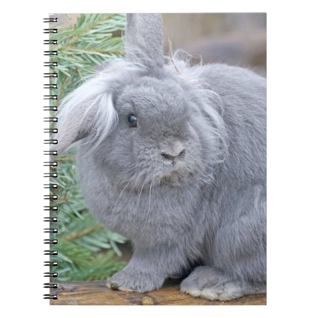 Cute grey rabbit   notebook (Front)