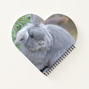 Cute grey rabbit notebook