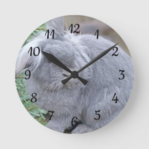 Cute grey rabbit round clock