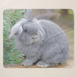 Cute grey rabbit sherpa blanket