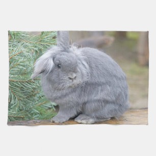Cute grey rabbit   tea towel