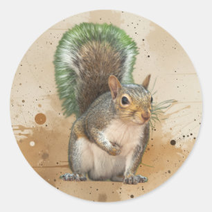 Cute Grey Squirrel Animal Wildlife Nature Classic Round Sticker