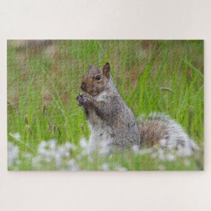 Cute Grey Squirrel Green Grass Bluetts Jigsaw Puzzle