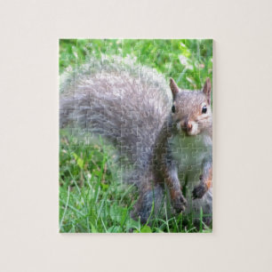Cute Grey Squirrel Jigsaw Puzzle