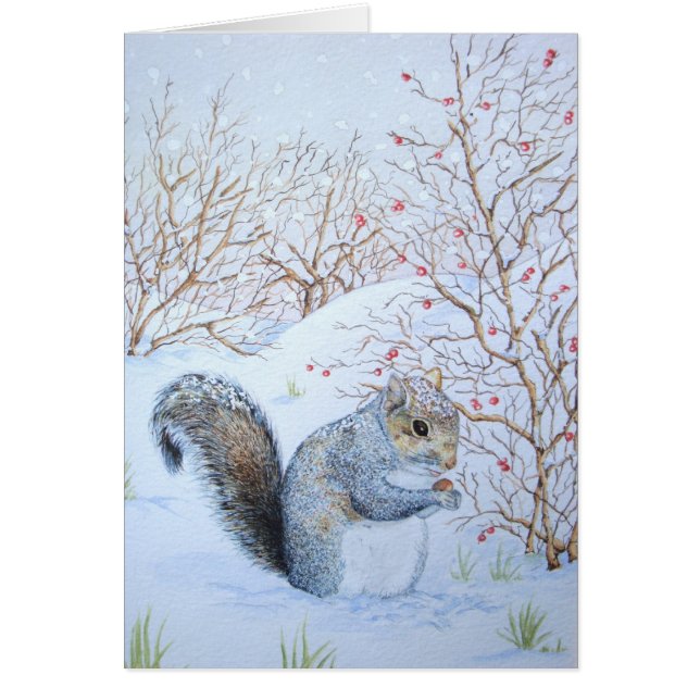 cute grey squirrel snow scene wildlife (Front)