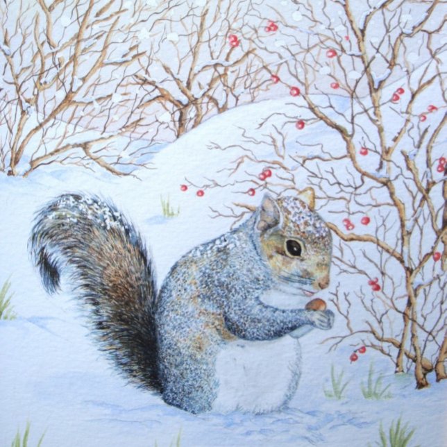 cute grey squirrel snow scene wildlife envelope (Creator Uploaded)