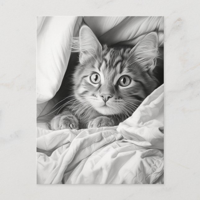 Cute Grey Tabby Cat Postcard (Front)