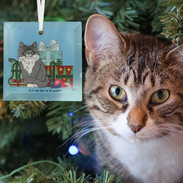Cute Grey White Christmas Kitten Presents Blue Glass Tree Decoration (Creator Uploaded)