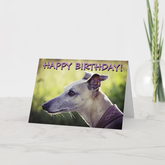 Cute greyhound customised greetings card (Front)