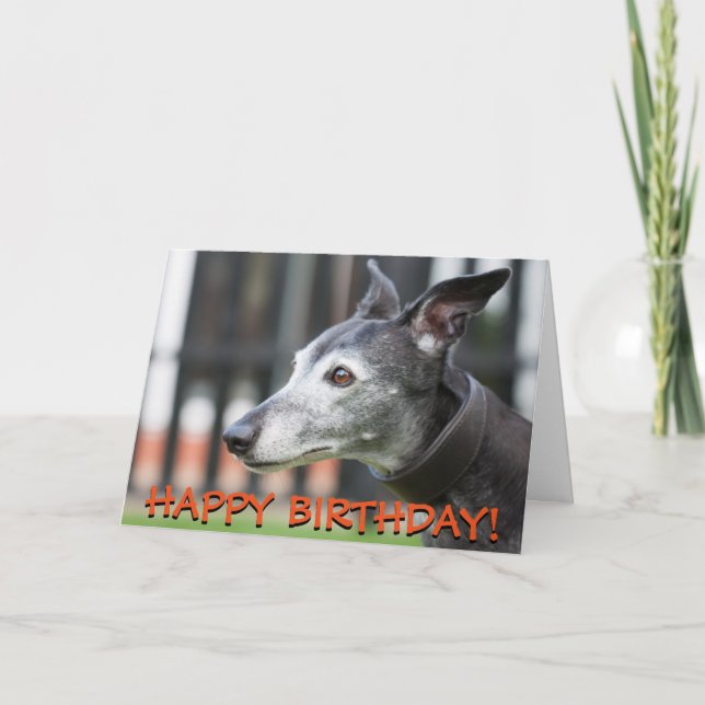 Cute greyhound greetings card (Front)