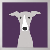 Cute Greyhound, Italian Greyhound or Whippet Dog