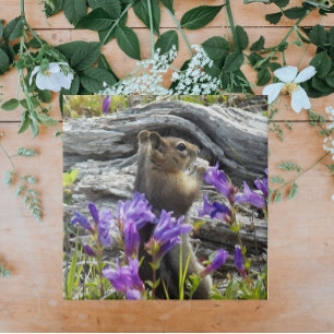 Cute Ground Squirrel and Purple Wildflowers Tile