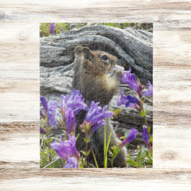 Cute Ground Squirrel and Wildflowers Nature Jigsaw Puzzle (In Situ)