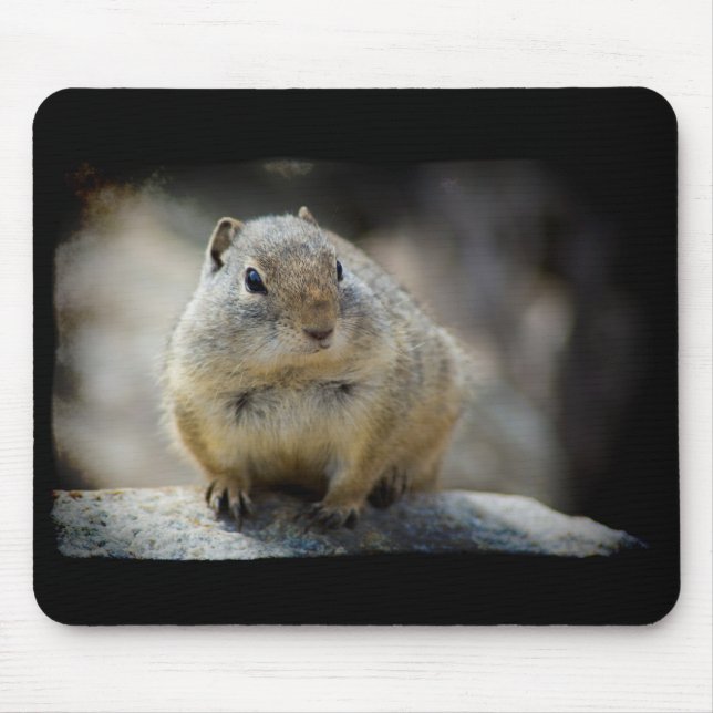 Cute Ground Squirrel Mouse Pad Black Border (Front)
