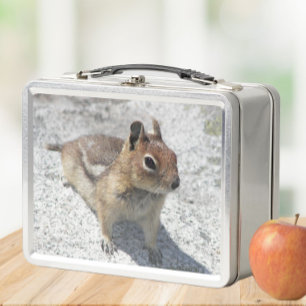 Cute Ground Squirrel Nature Photo Metal Lunch Box
