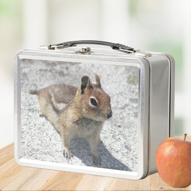 Cute Ground Squirrel Nature Photo Metal Lunch Box (In Situ Apple)