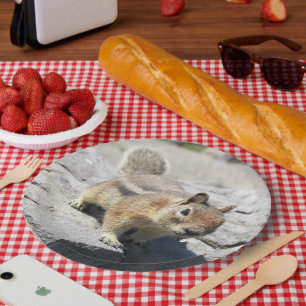Cute Ground Squirrel Nature Photo Paper Plate