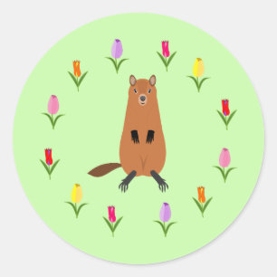 Cute Groundhog and Tulip Flowers Classic Round Sticker