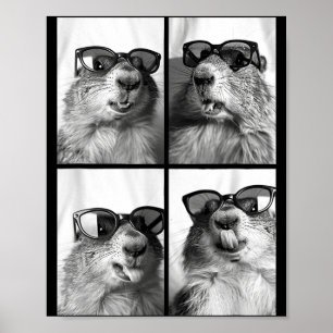 Cute Groundhogs Sungles Cool Forest Animal Photo B Poster