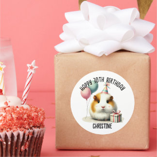 Cute Guinea Pig Birthday Party favours Classic Round Sticker