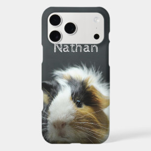 Cute Guinea Pig Chalkboard Personalised