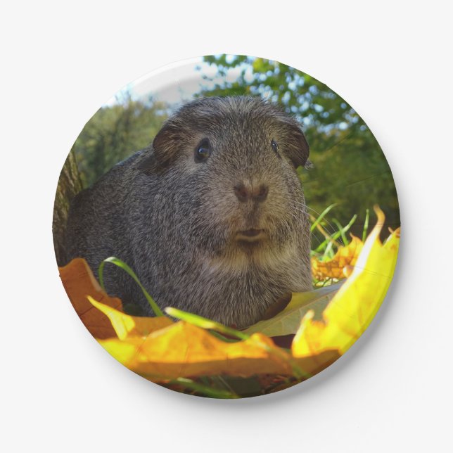 Cute Guinea Pig in Nature Paper Plate (Front)