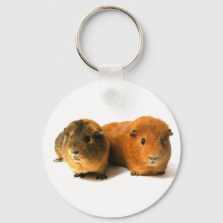 cute guinea pig key ring