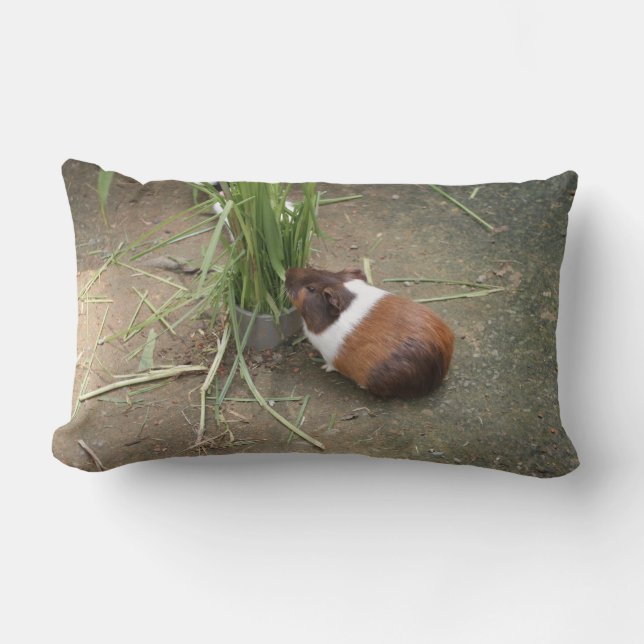 Cute Guinea Pig Lumbar Cushion (Front)