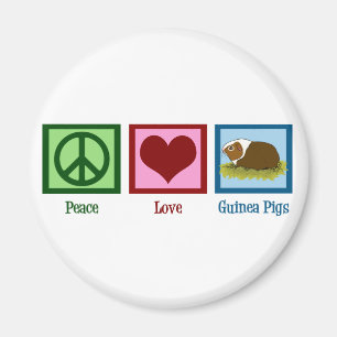 Cute Guinea Pig Magnet