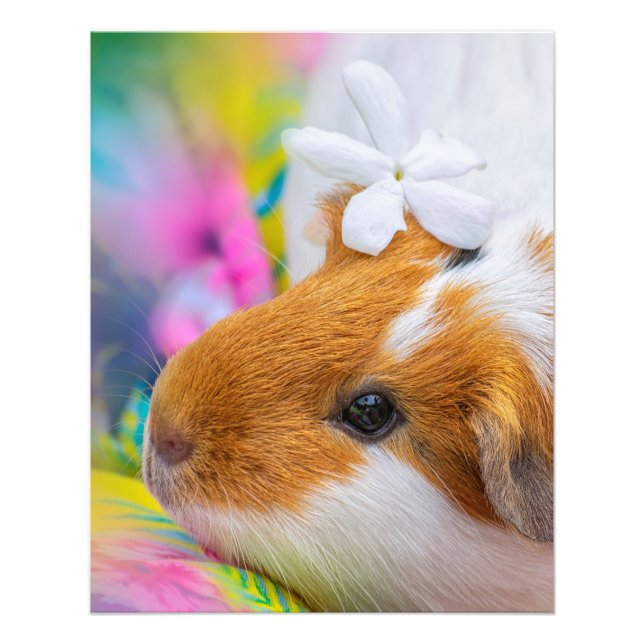 Cute Guinea Pig Pet Photo Print (Front)