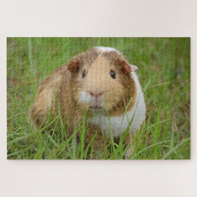 Cute guinea pig photo jigsaw puzzle (Horizontal)