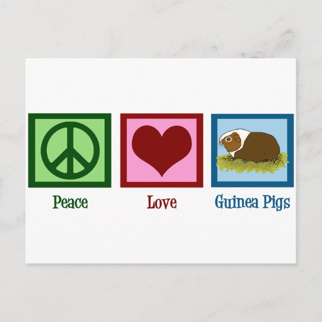 Cute Guinea Pig Postcard (Front)