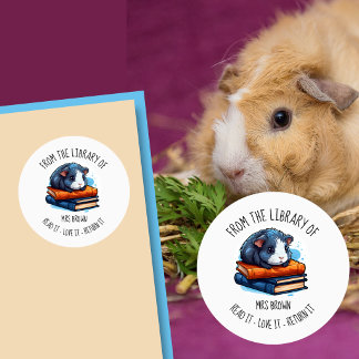 Cute Guinea Pig Reading Books Sticker | Book Lover