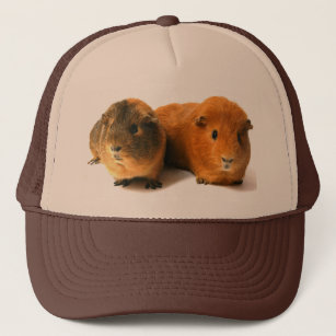 cute guinea pig trucker hat