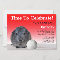 Cute Guinea Pig Volleyball Custom Birthday Party  