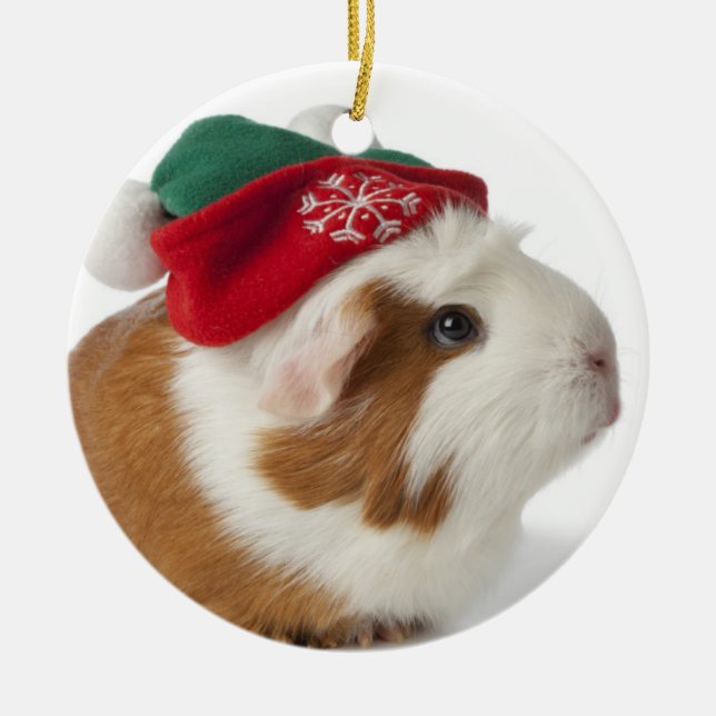 Cute Guinea Pig With Christmas Hat On White Metal Tree Decoration (Front)